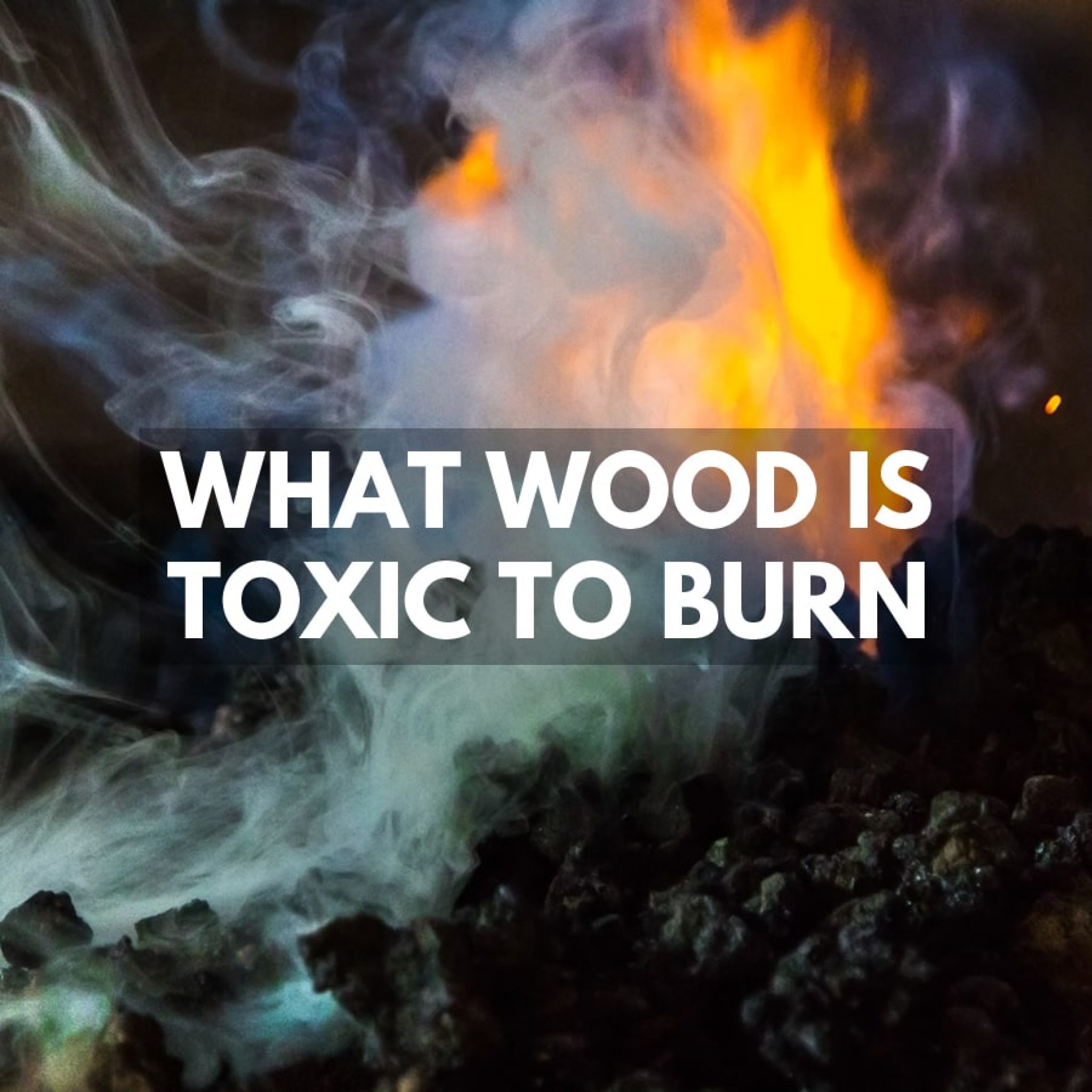 What Wood is Toxic to Burn? 10 Types of Wood to Avoid Burning