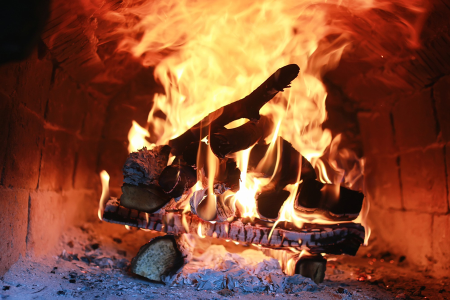 types of wood to avoid burning